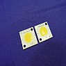 [A1491] 22mm x 22mm COB LED 24V 테스트 웜화이트(2개)